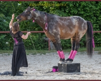 2-13JUIN 0142